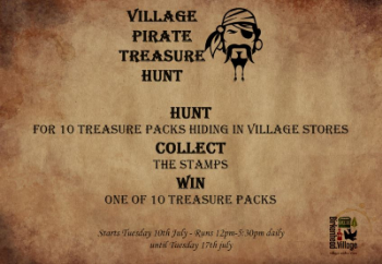 treasurehunt 1-876-919